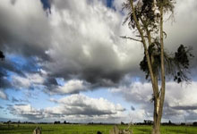 斯诺克——世界大奖赛：尼尔·罗伯逊晋级八强.