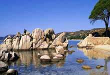 [天下足球]B费点射 曼联战平切尔西.